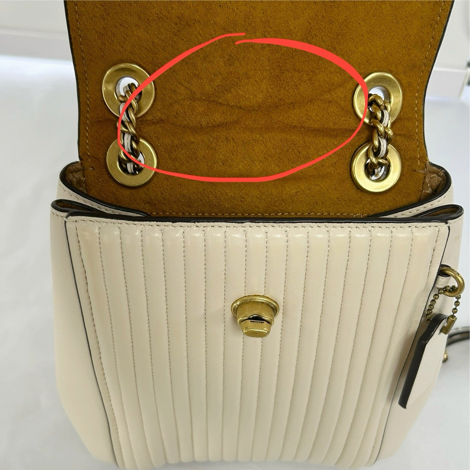 COACH 牛皮皮革Rucksack金扣鏈帶背包