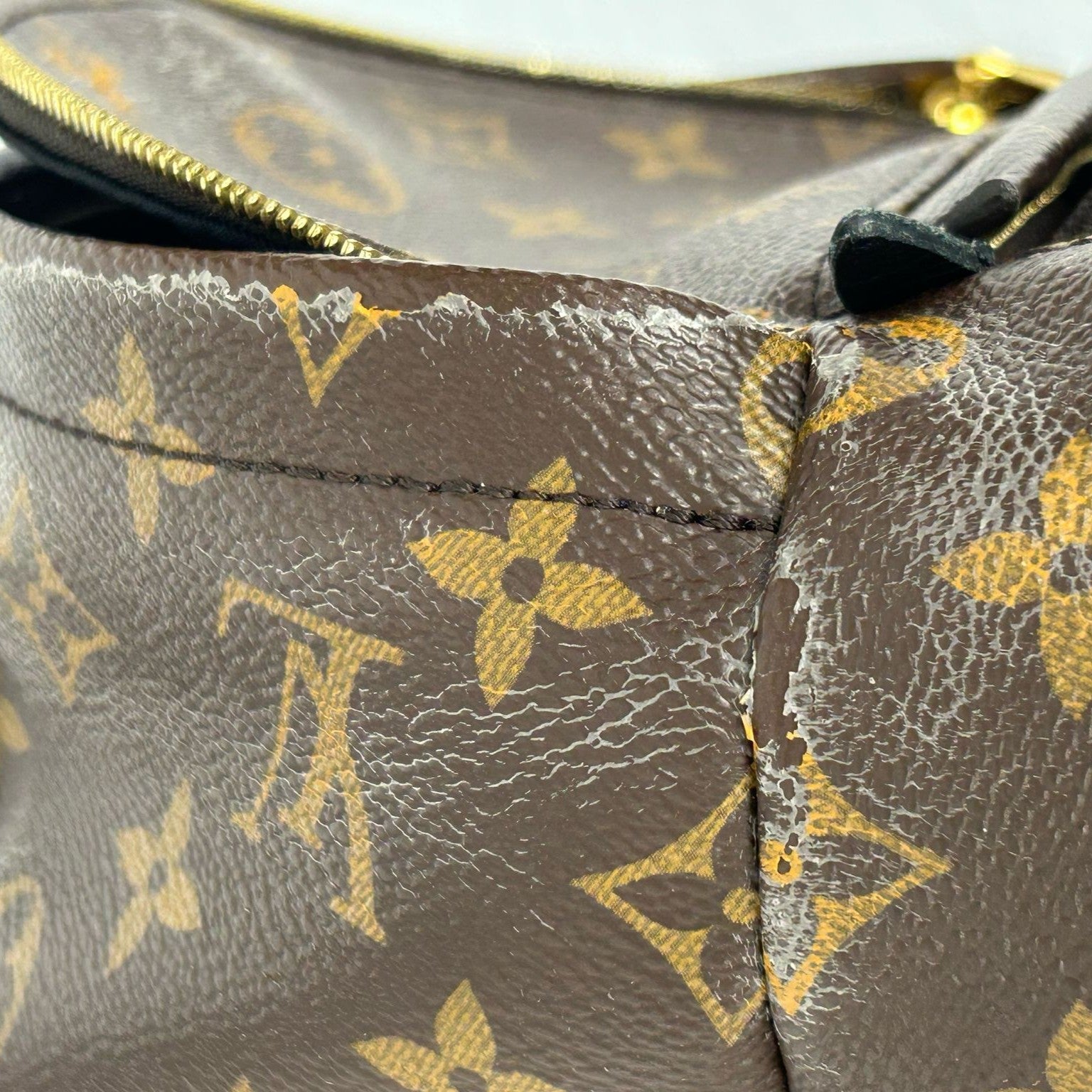 LOUIS VUITTON 【激減優惠】Monogram Palm Springs Mini金扣背包啡色