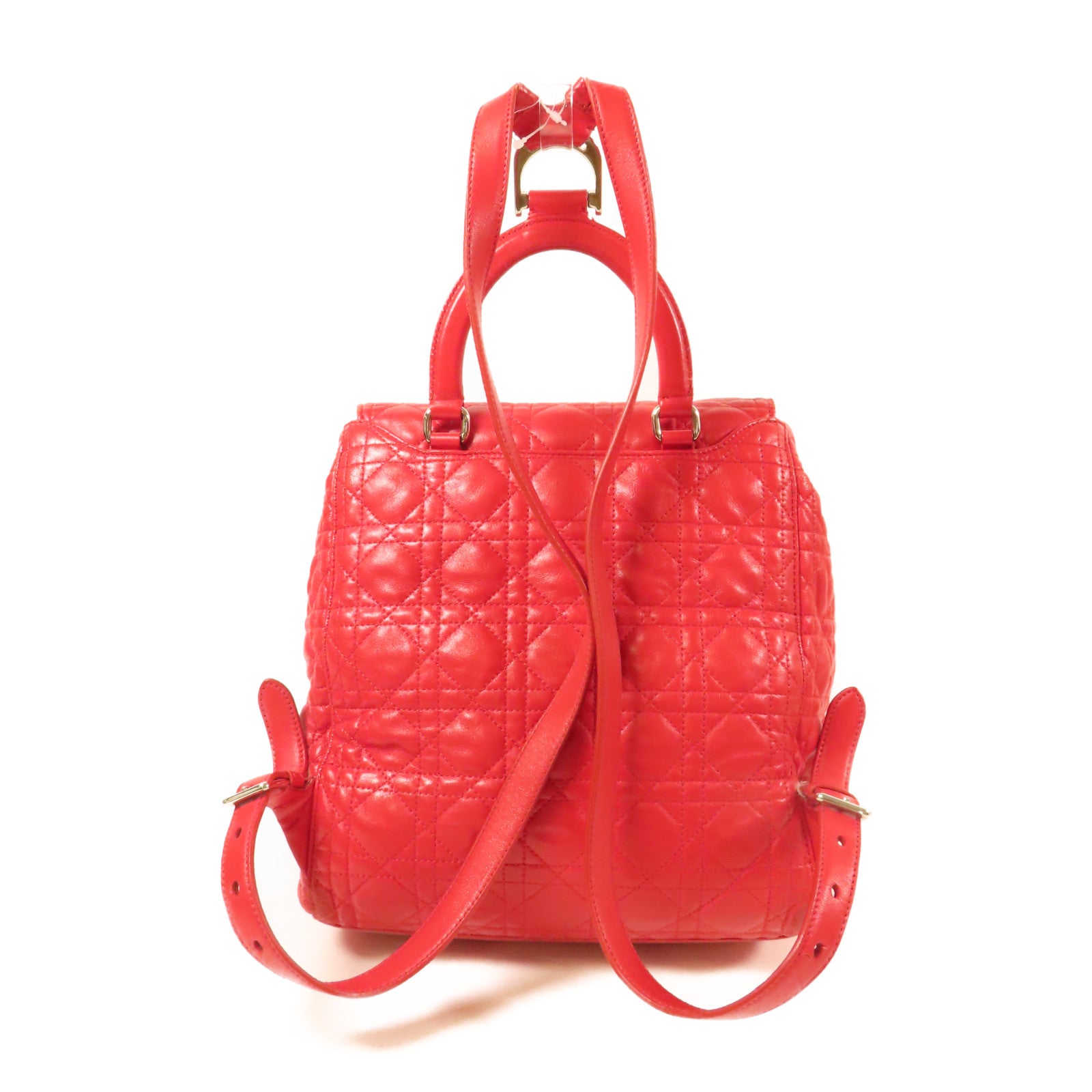 Dior 羊皮皮革Backpack銀扣背包