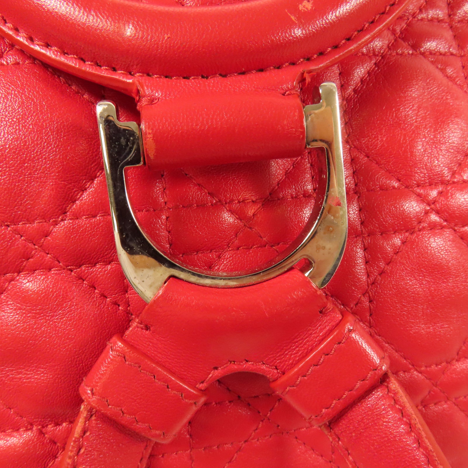 Dior 羊皮皮革Backpack銀扣背包