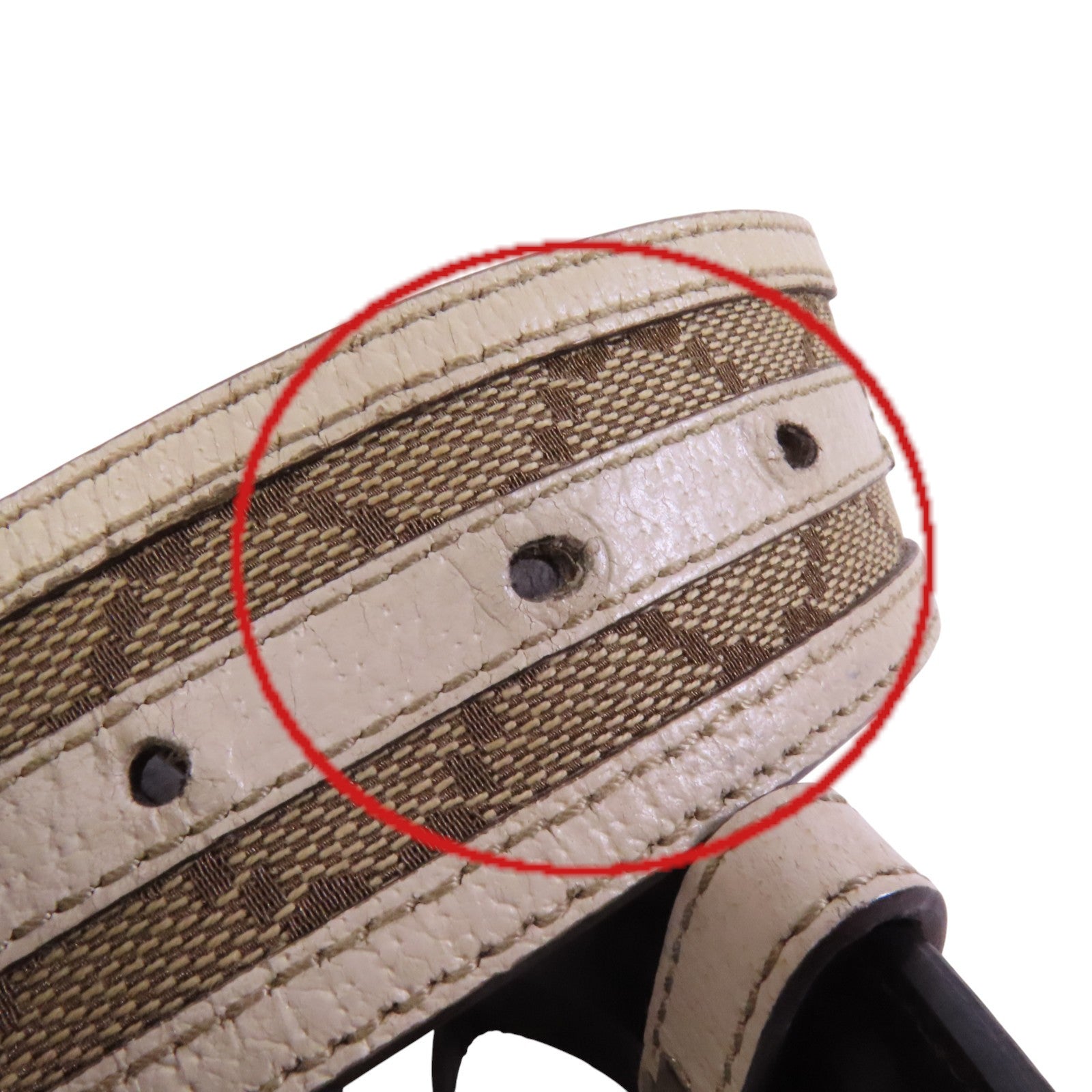 GUCCI GG帆布/牛皮皮革Gucci Belt金扣皮帶