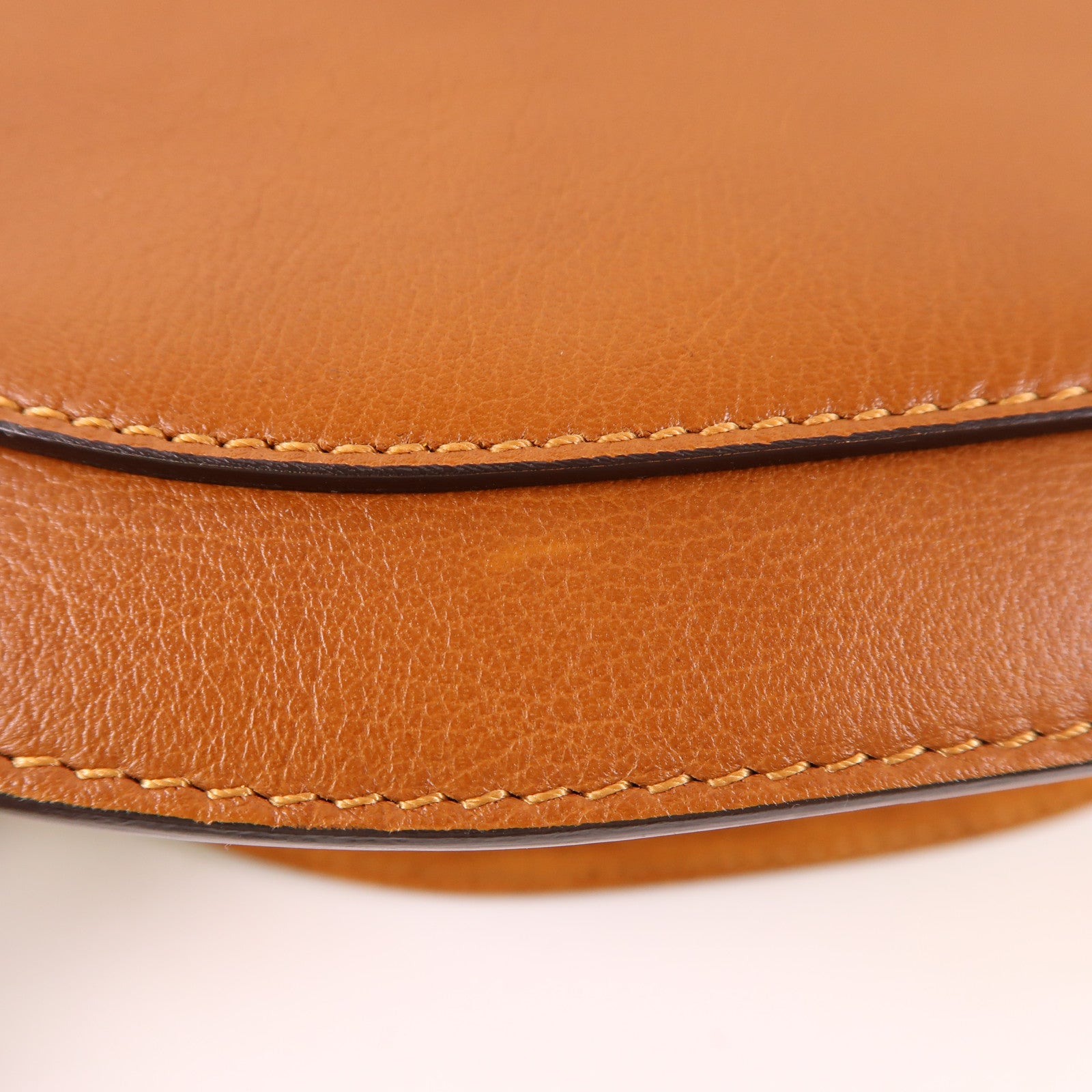 Chloe 牛皮皮革Nile Medium金扣手挽肩背兩用袋