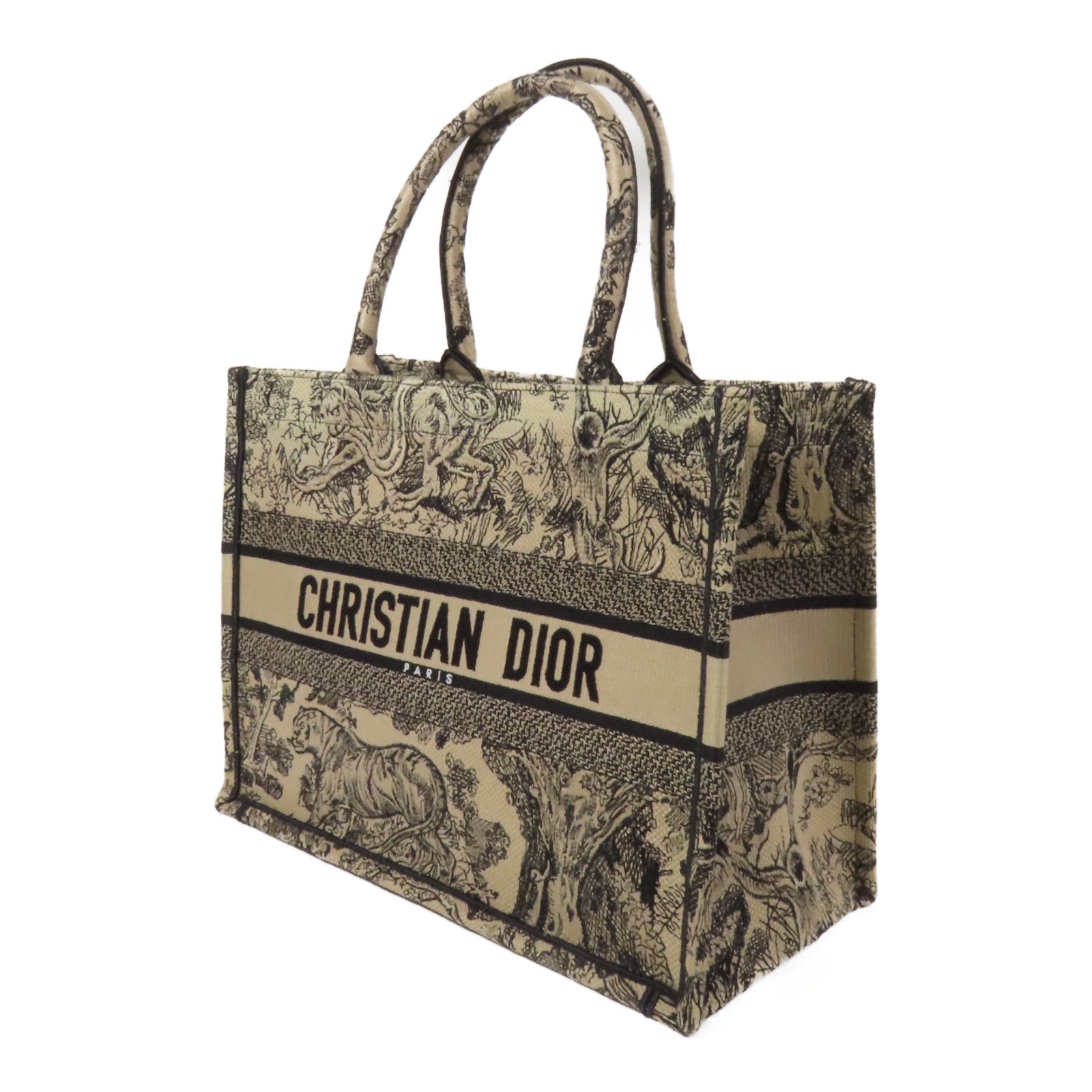 Dior 帆布Book Tote Medium手挽袋