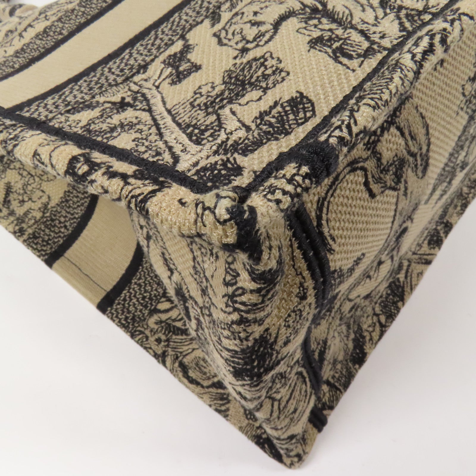 Dior 帆布Book Tote Medium手挽袋