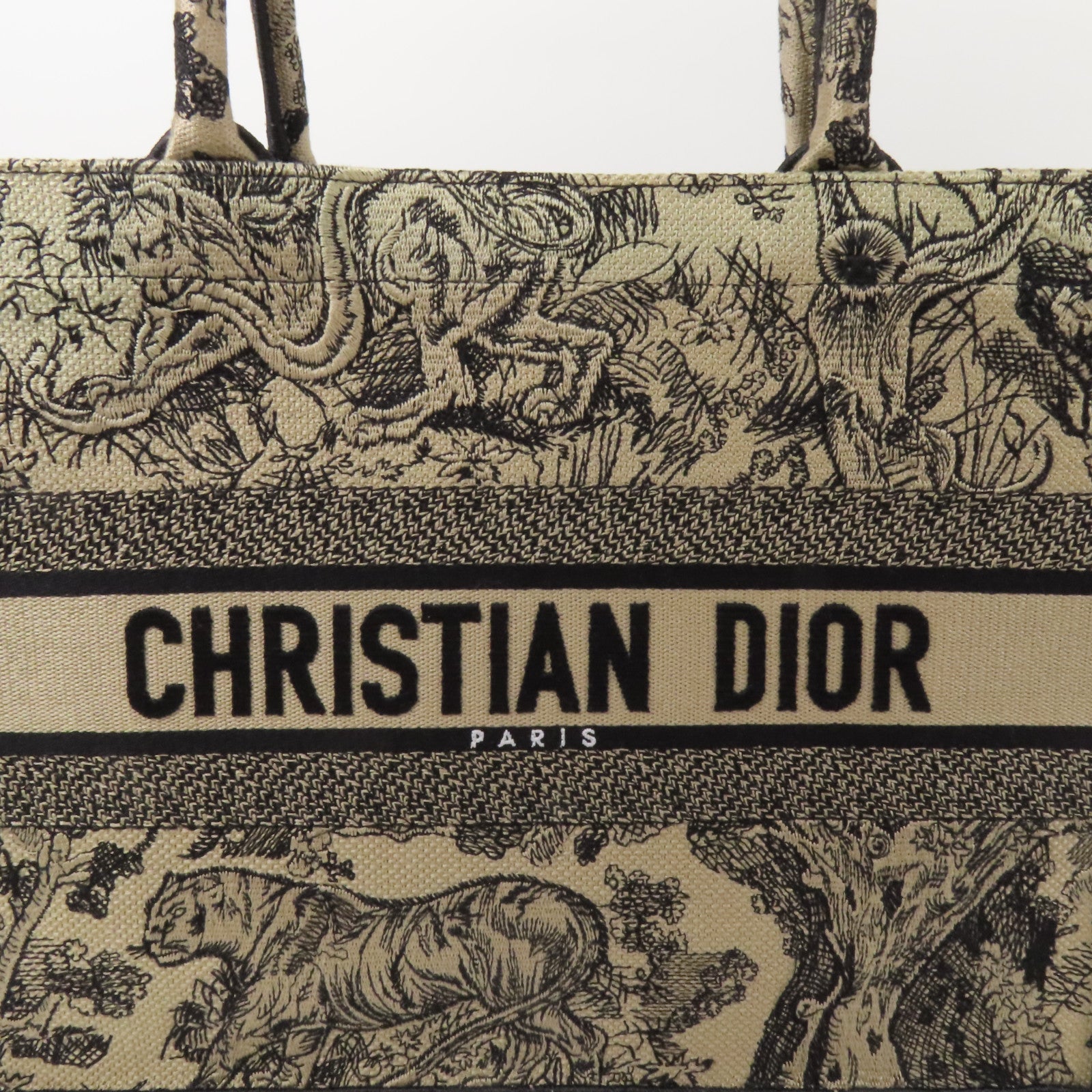 Dior 帆布Book Tote Medium手挽袋