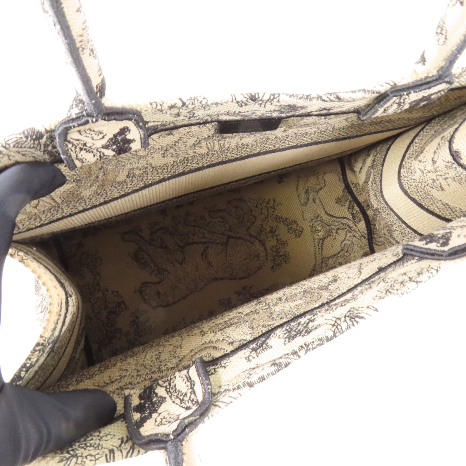 Dior 帆布Book Tote Medium手挽袋