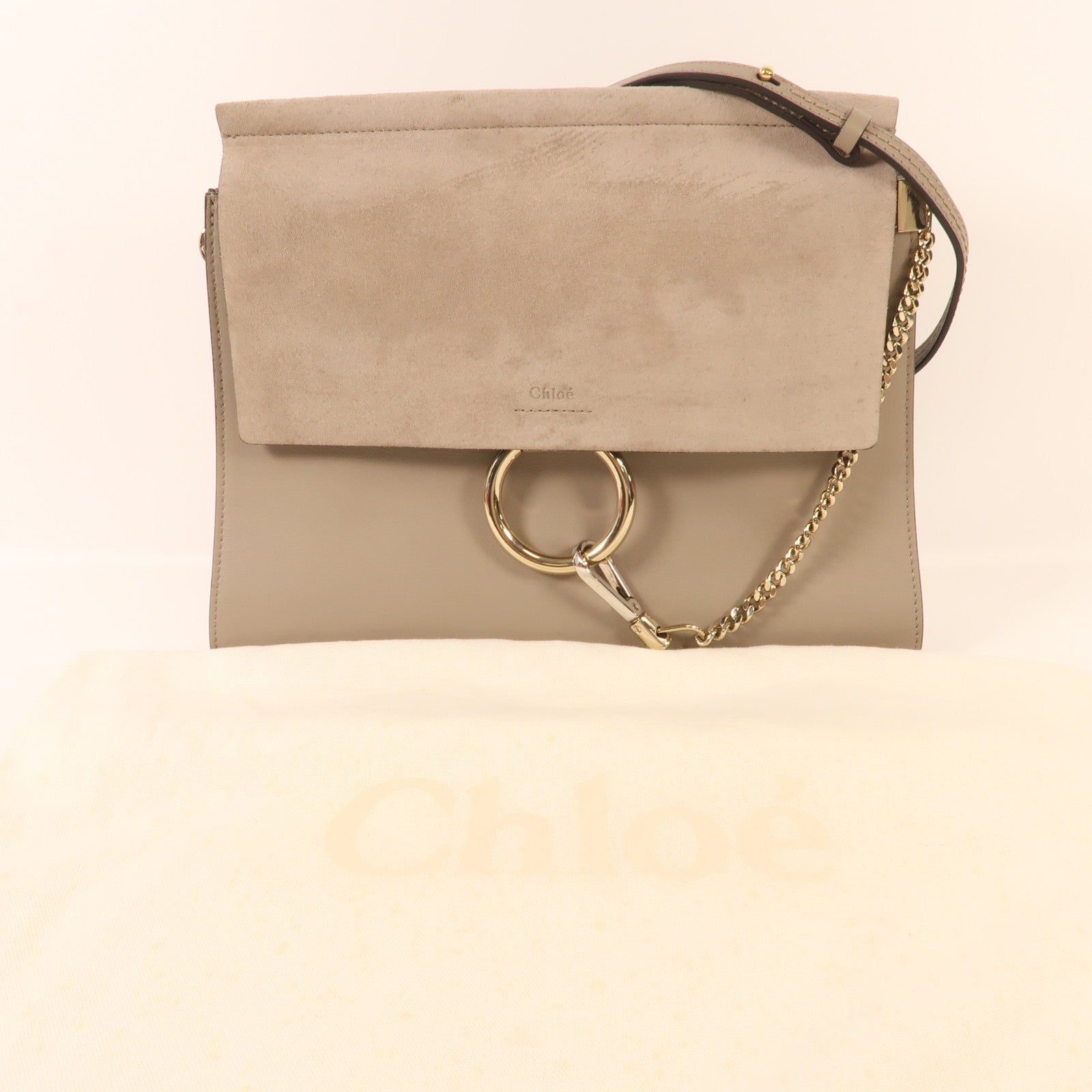 Chloe 牛皮皮革Faye Bag金扣肩背袋