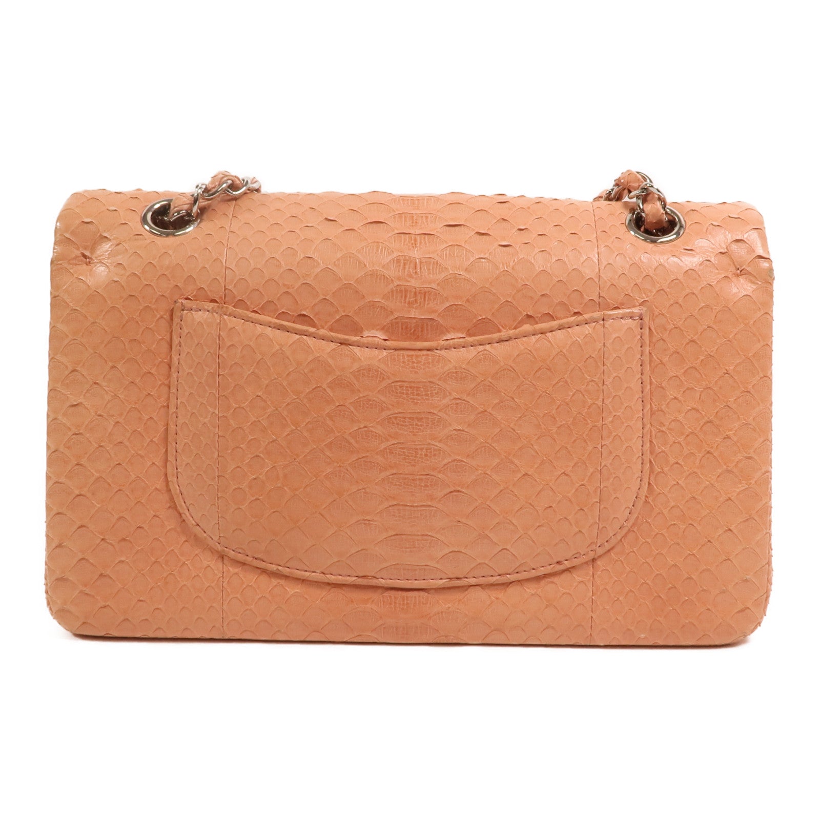 CHANEL 蛇皮皮革Classic 25銀扣鏈帶肩背袋
