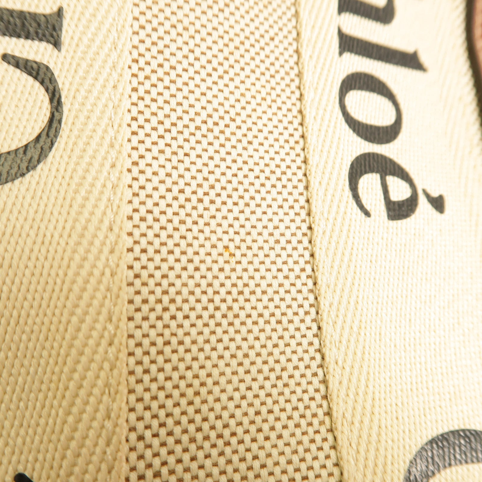 Chloe 帆布Woody Tote Bag Small手挽袋