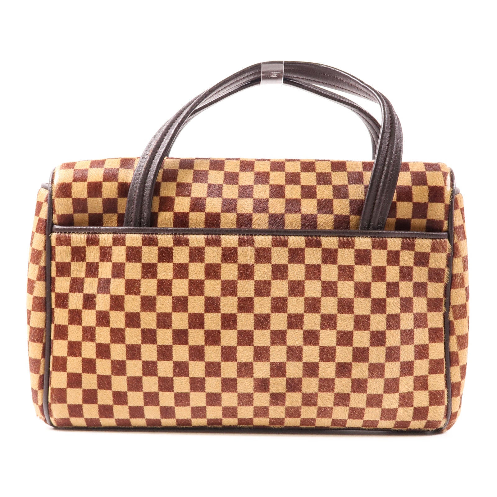 LOUIS VUITTON Damier Sauvage Lionne金扣手挽袋