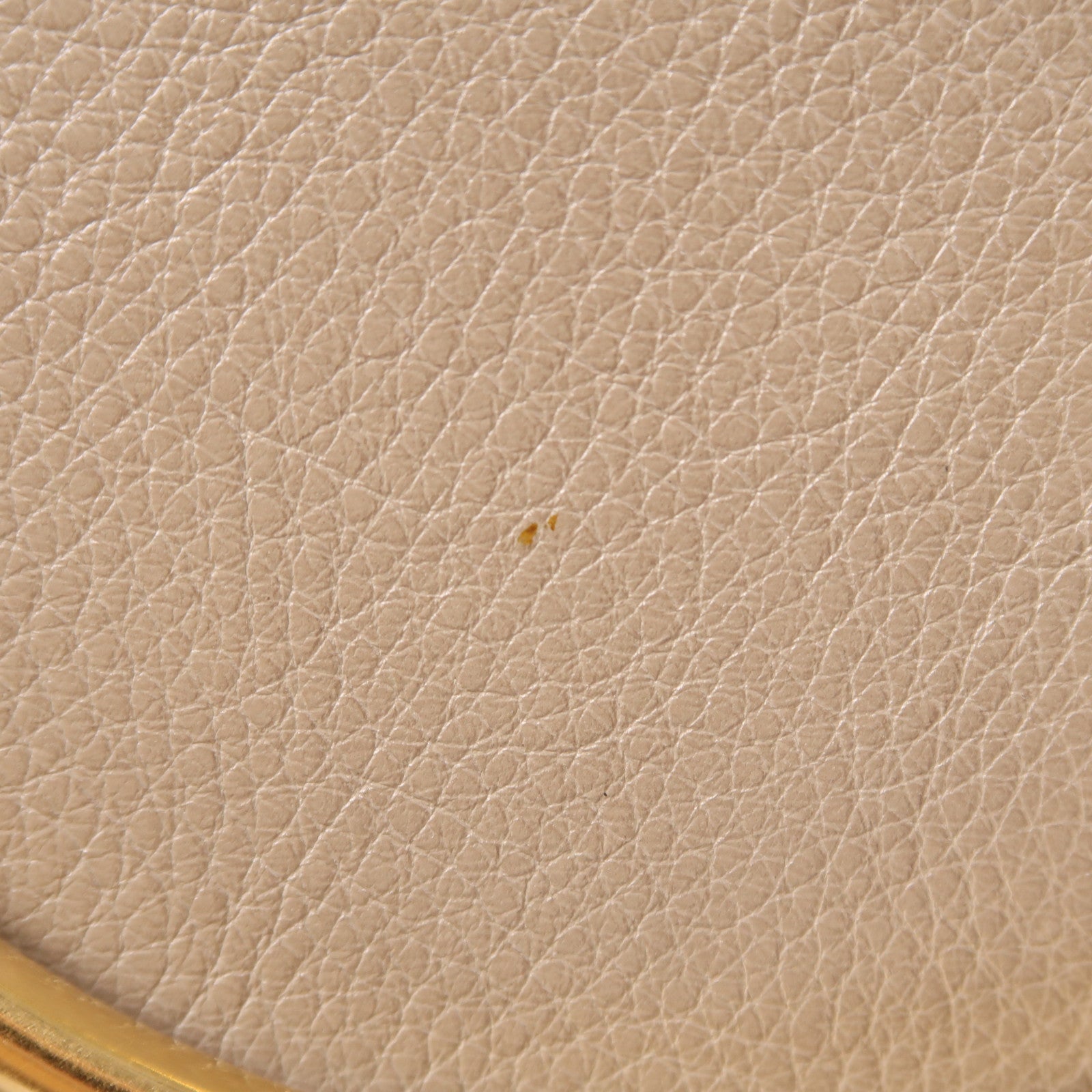 Chloe 牛皮皮革Pixie Bag金扣手挽肩背兩用袋