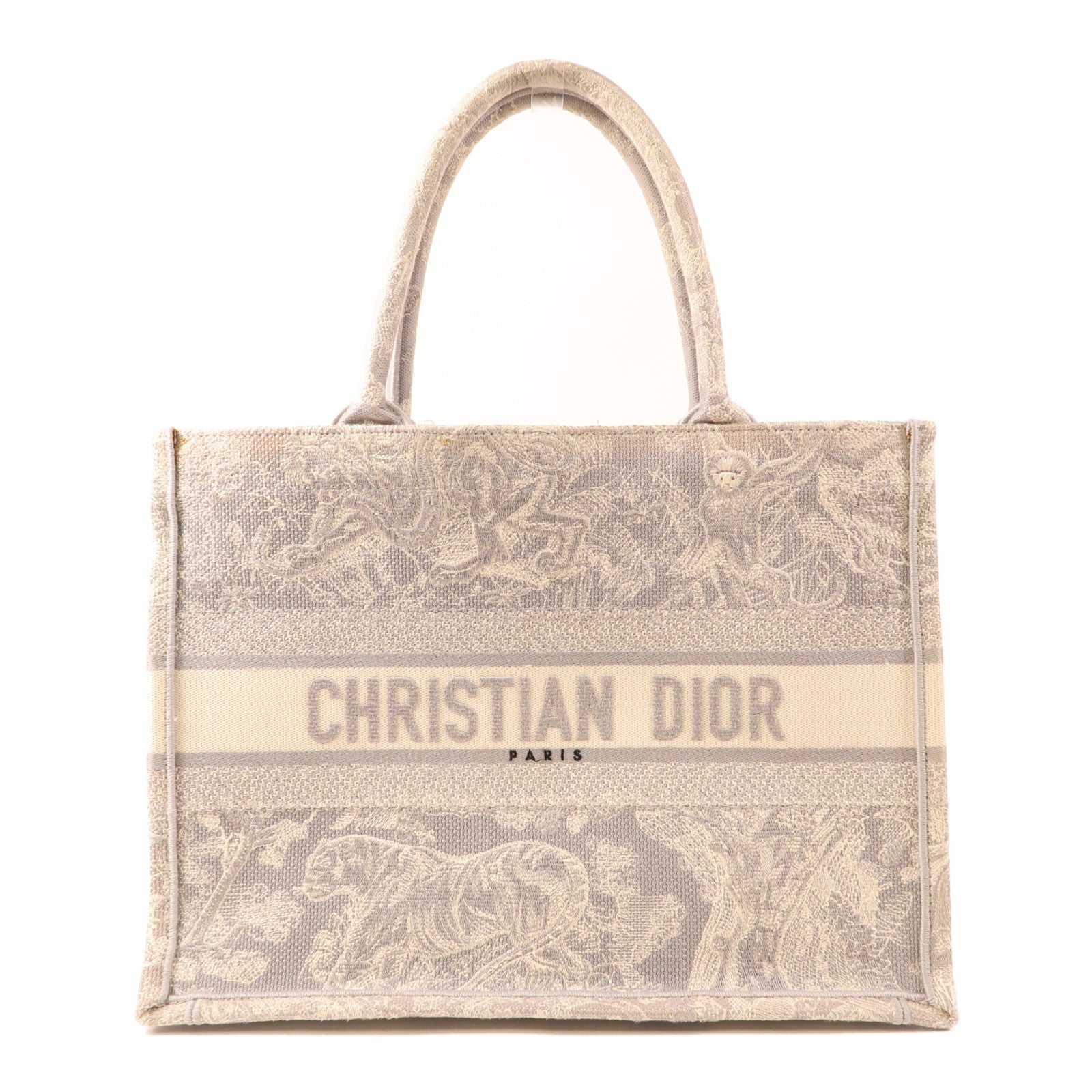 Dior 帆布Book Tote Medium手挽袋