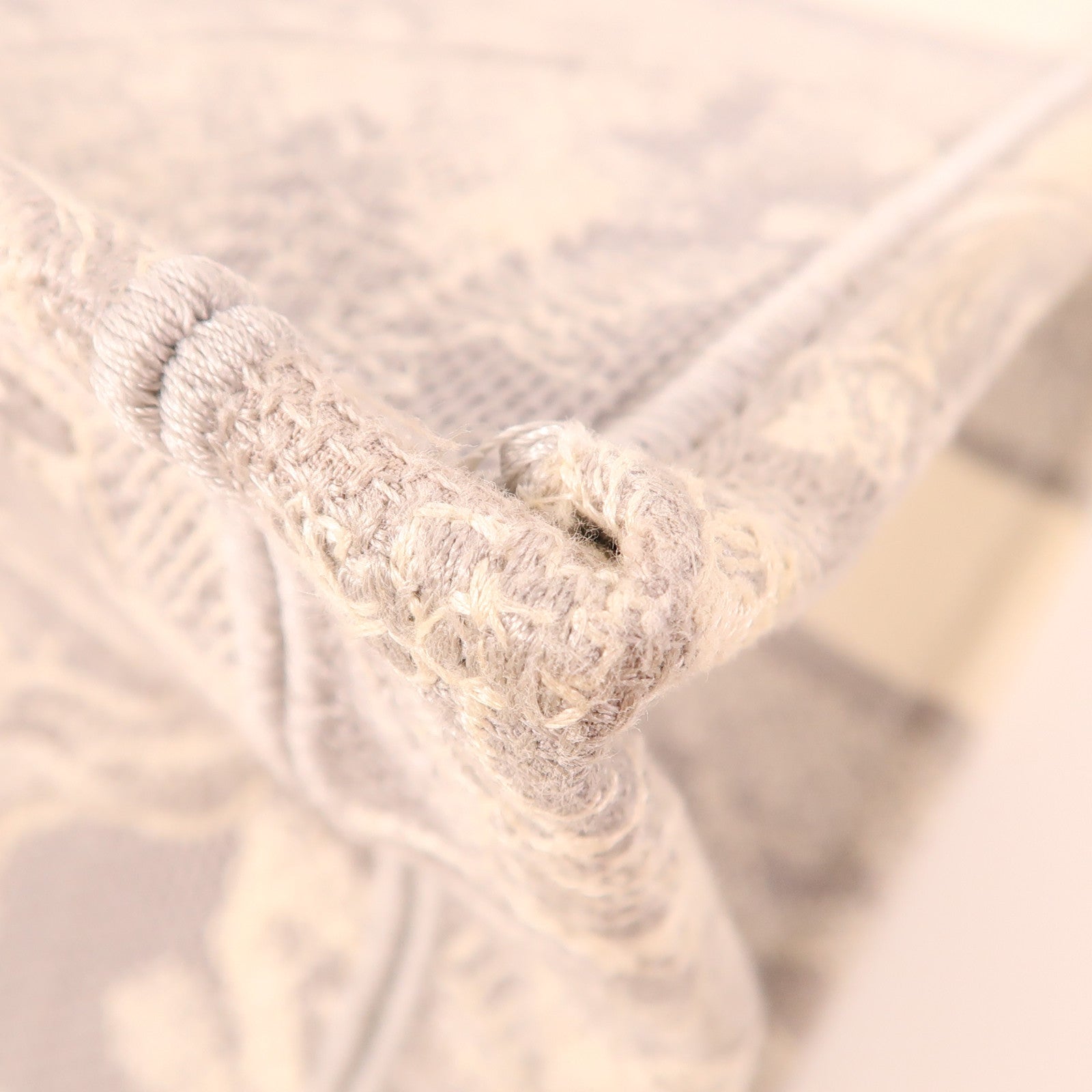 Dior 帆布Book Tote Medium手挽袋