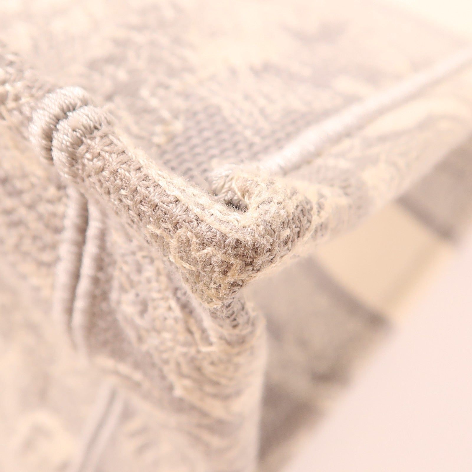 Dior 帆布Book Tote Medium手挽袋