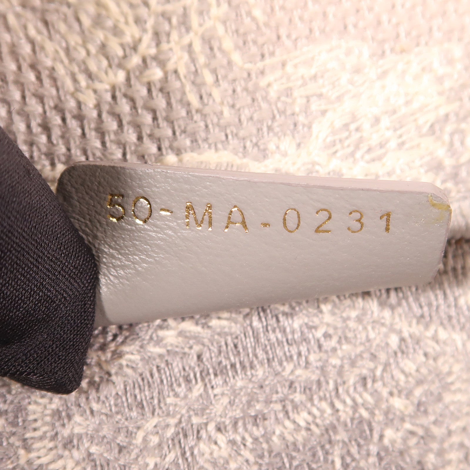 Dior 帆布Book Tote Medium手挽袋