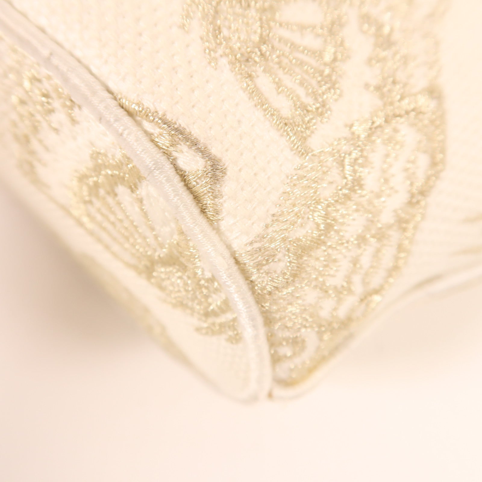 Dior 帆布Hat Basket Gradient Butterflies金扣手挽肩背兩用袋白色/金色