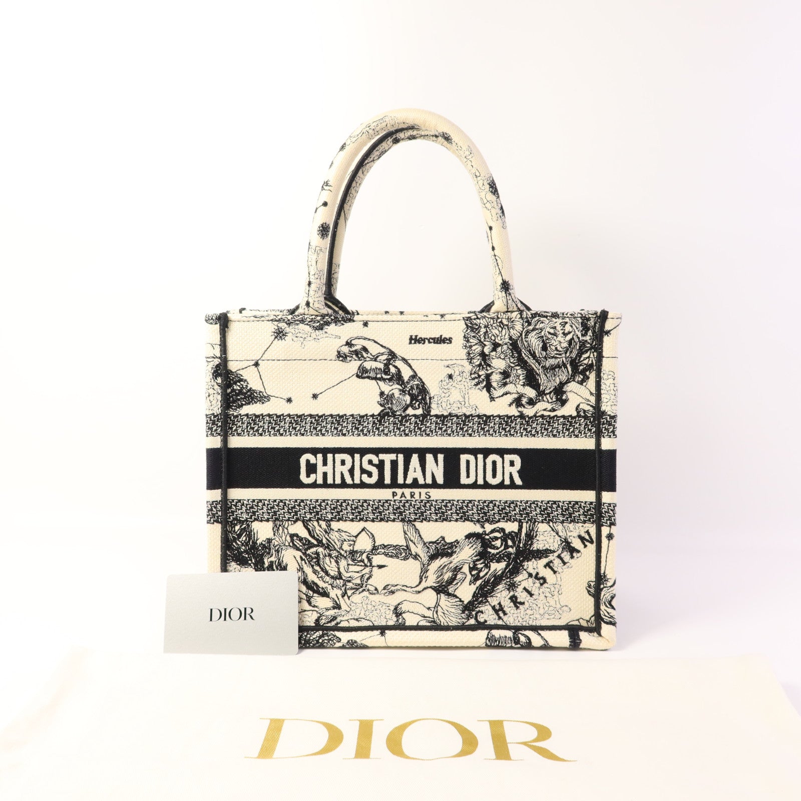 Dior 帆布Book Tote Small手挽袋