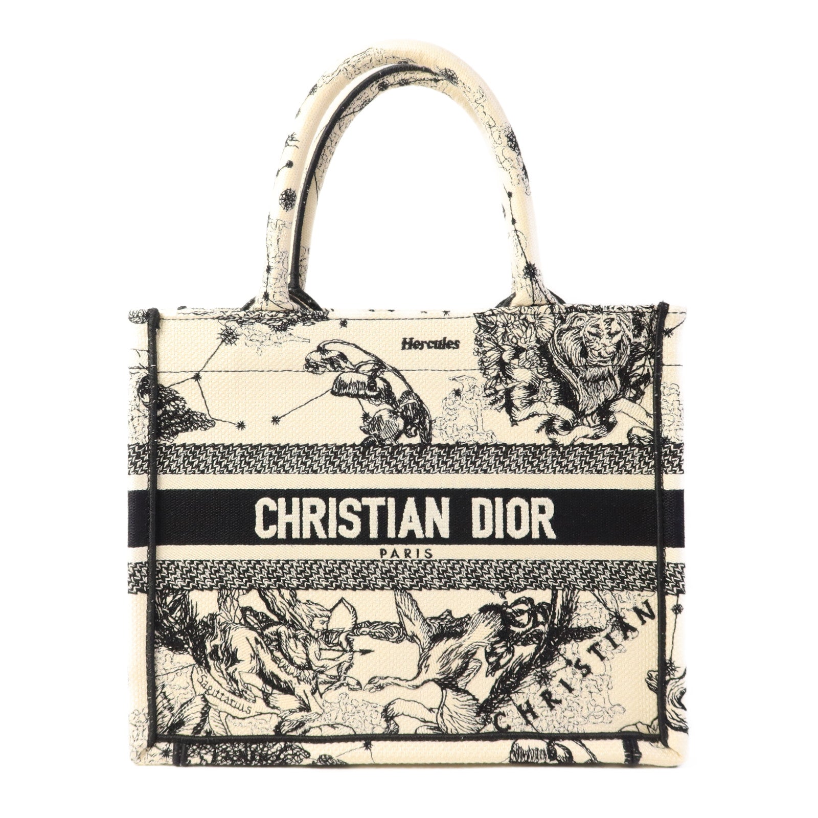 Dior 帆布Book Tote Small手挽袋