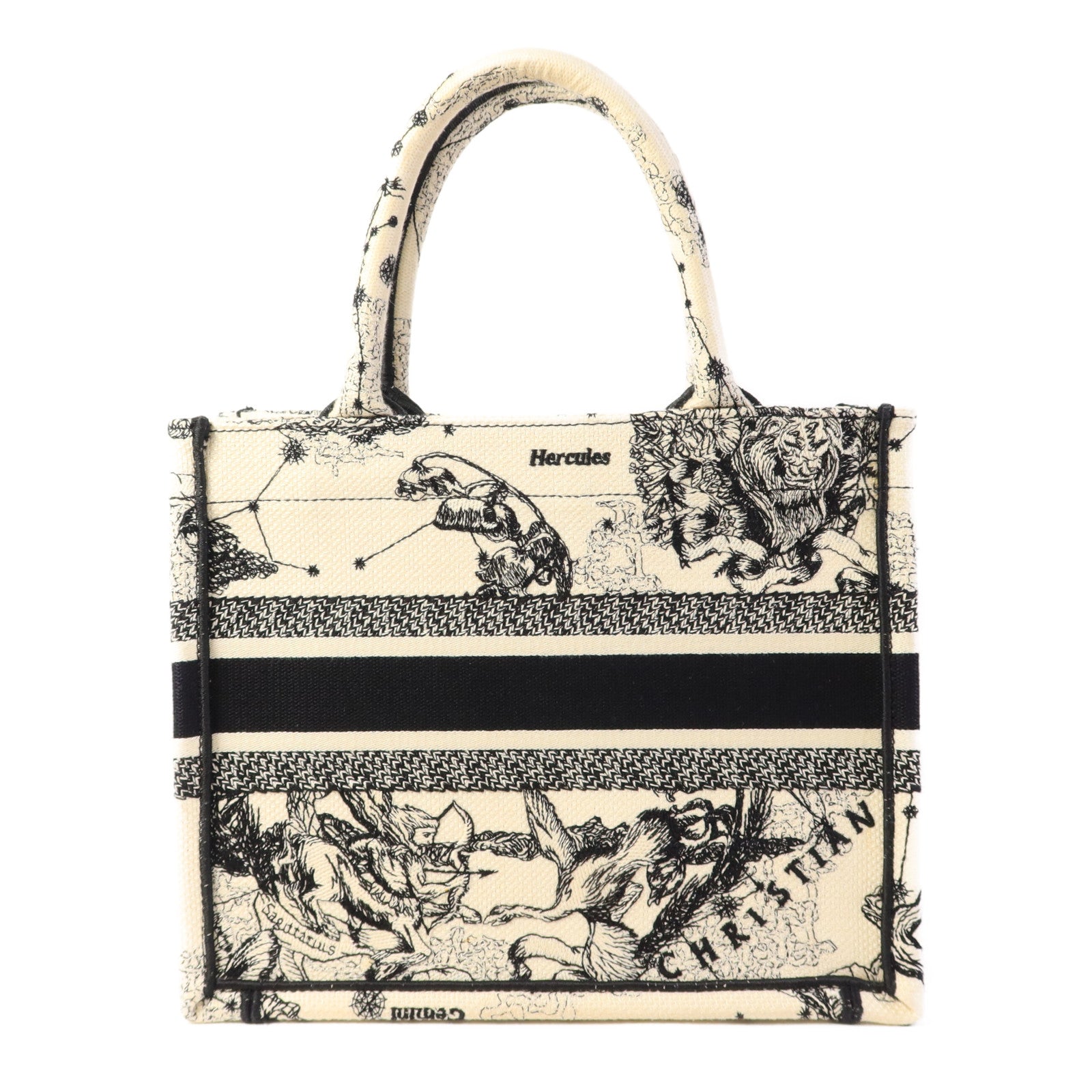 Dior 帆布Book Tote Small手挽袋