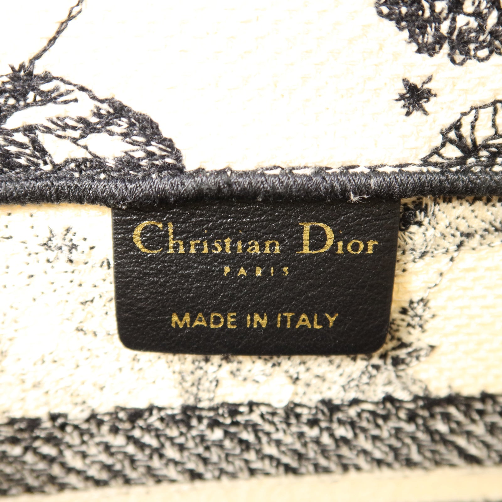 Dior 帆布Book Tote Small手挽袋