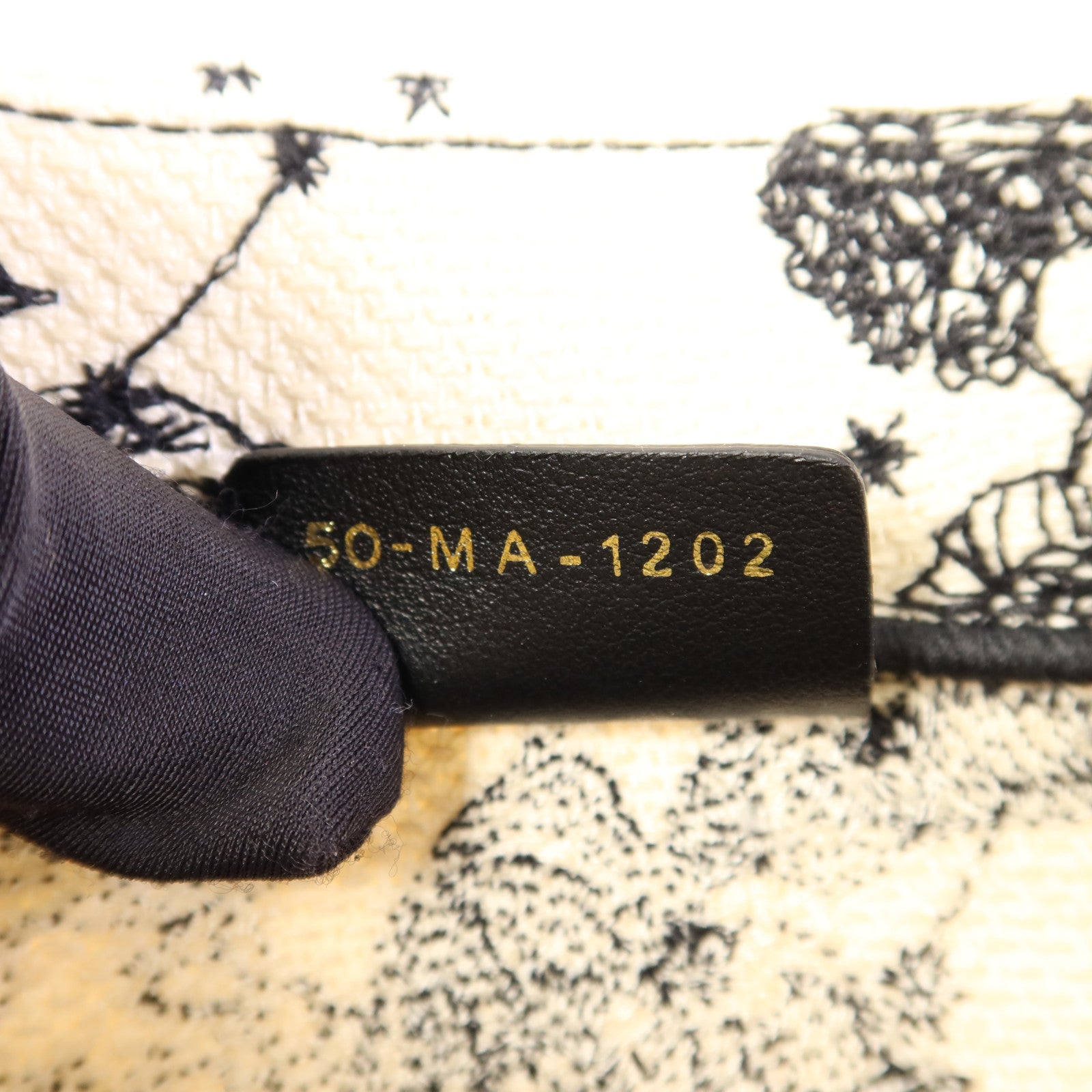 Dior 帆布Book Tote Small手挽袋