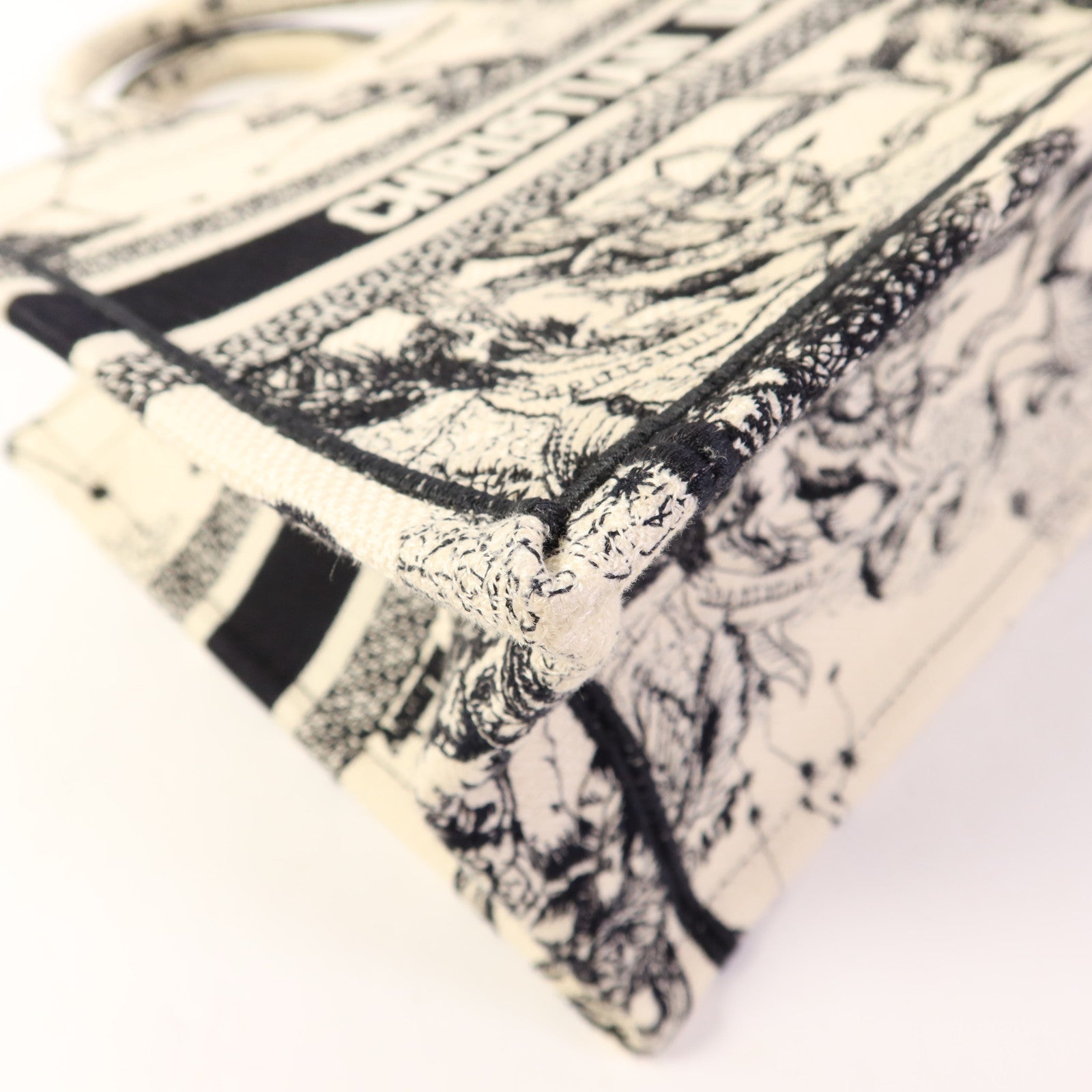 Dior 帆布Book Tote Small手挽袋