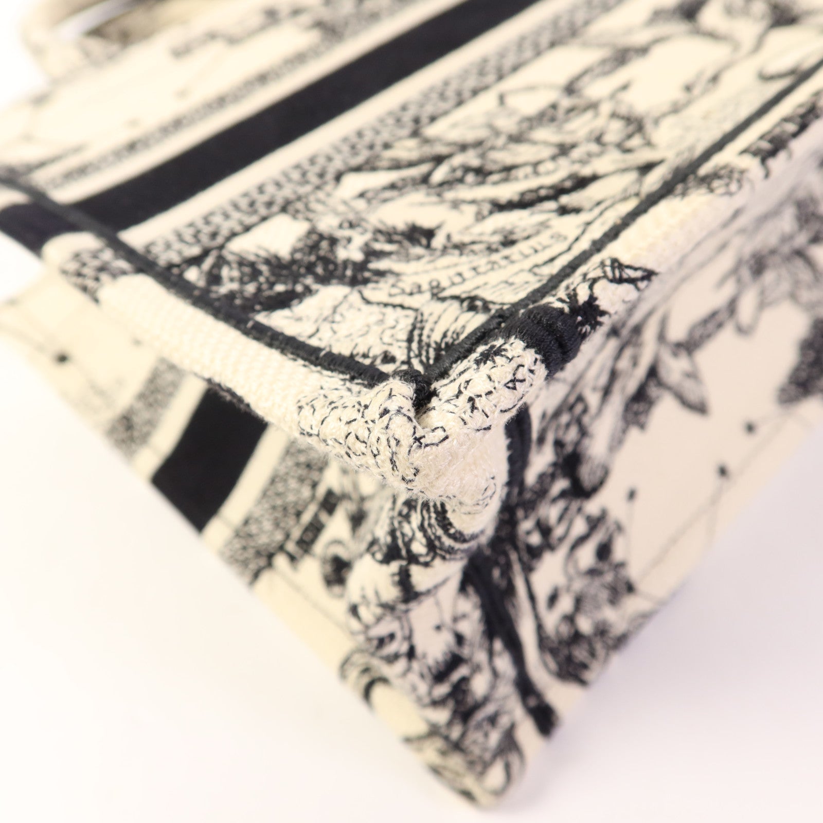 Dior 帆布Book Tote Small手挽袋