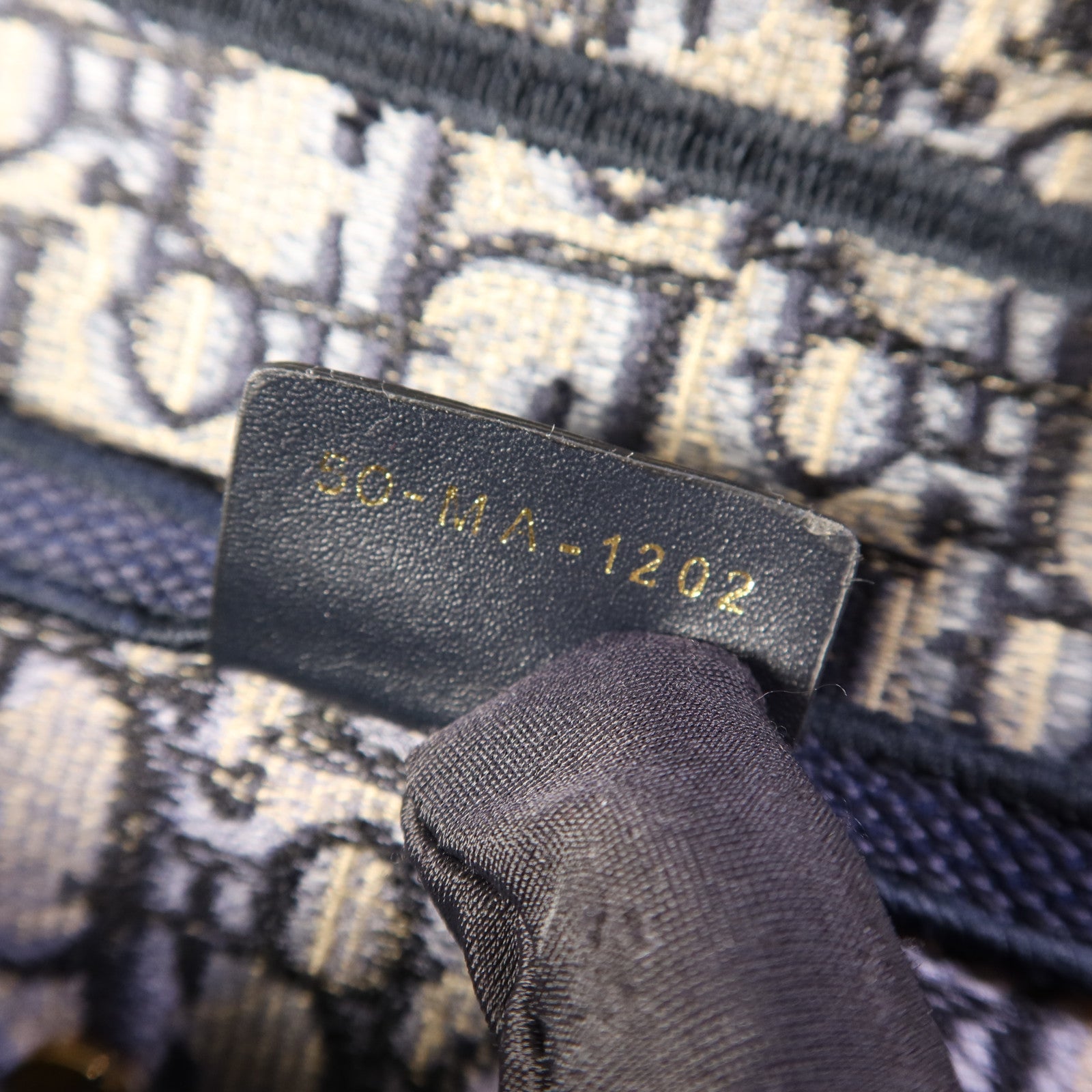 Dior 帆布Saddle Bag金扣手挽袋