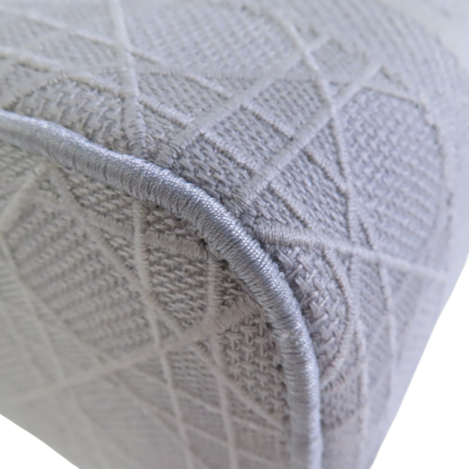 Dior 帆布Vanity case銀扣手挽袋