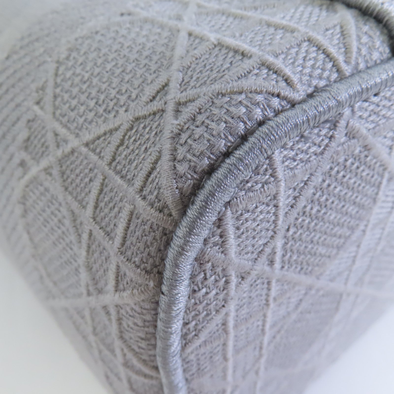 Dior 帆布Vanity case銀扣手挽袋