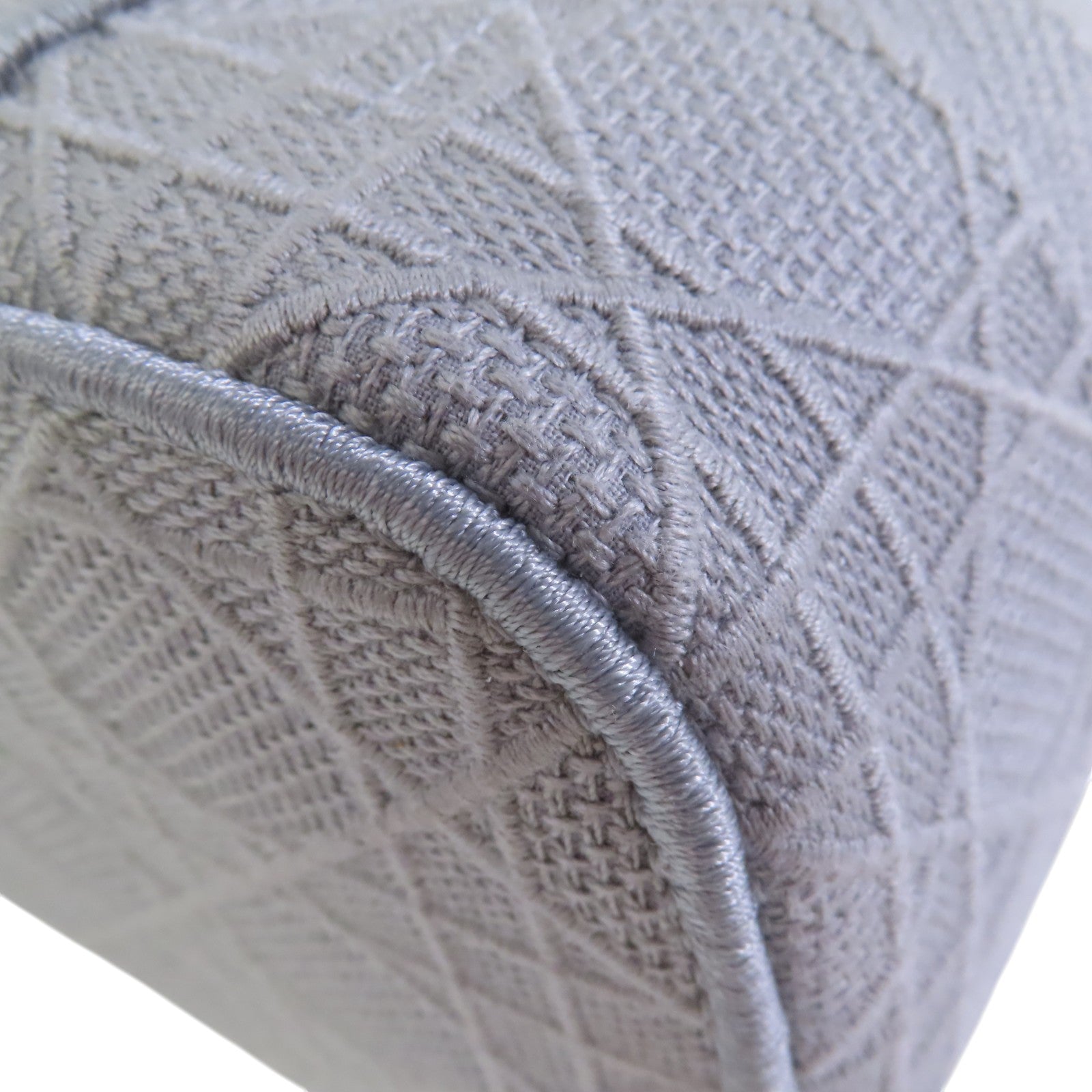 Dior 帆布Vanity case銀扣手挽袋