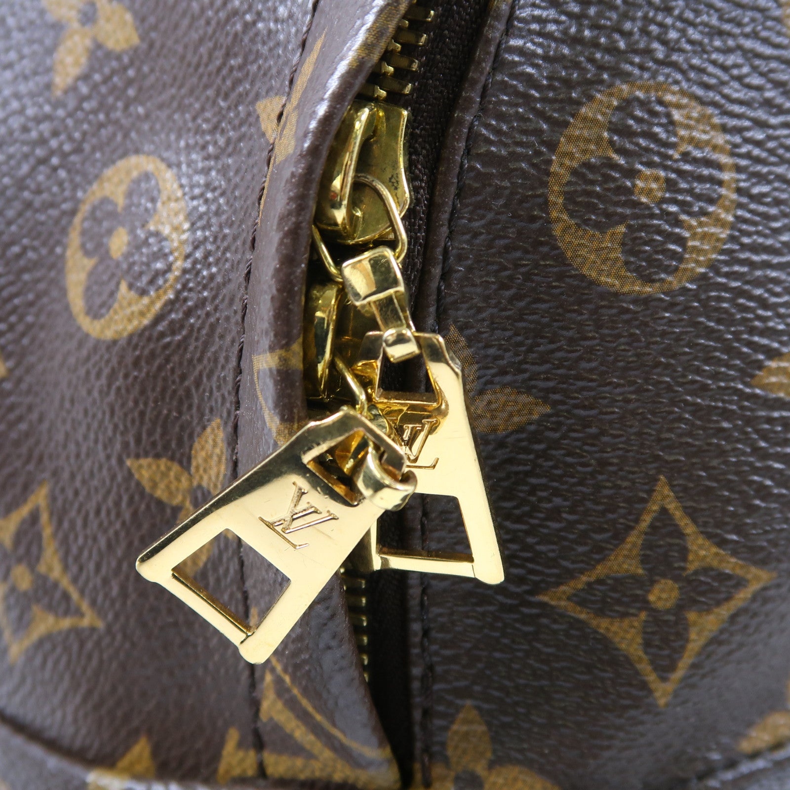 LOUIS VUITTON LV GHW Palm Springs Backpack M44874 Monogram Brown/Black