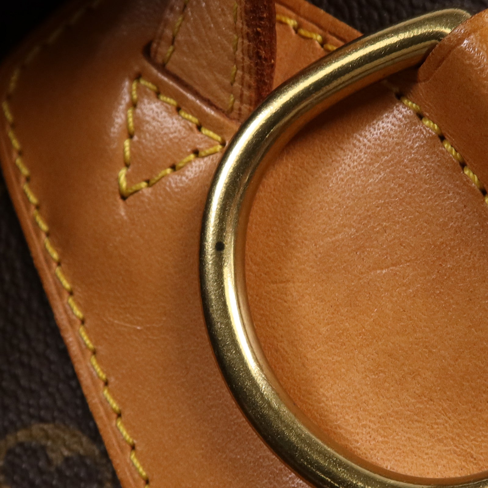 LOUIS VUITTON Monogram Ellipse Sac A Dos Backpack金扣背包