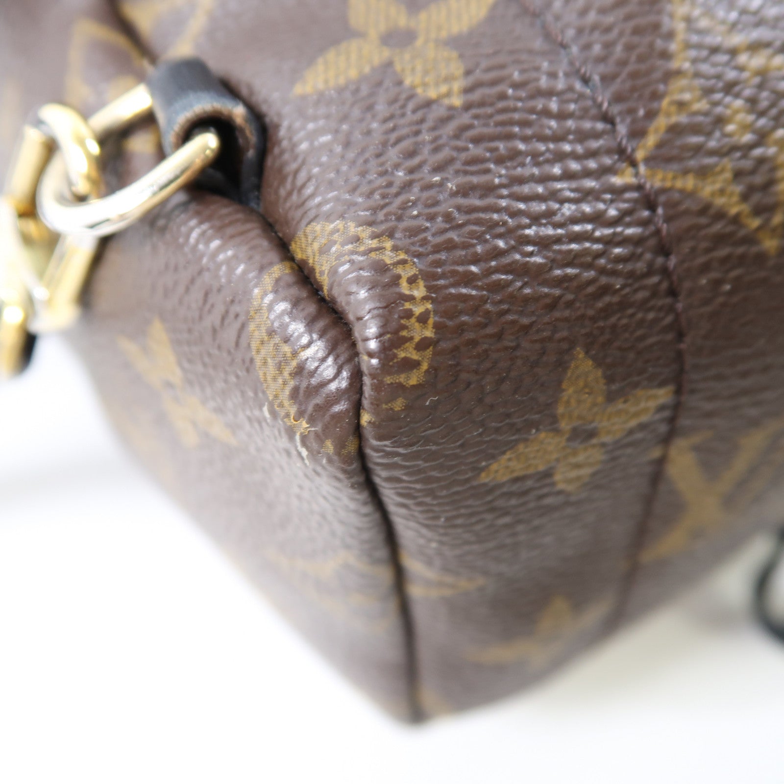 LOUIS VUITTON LV GHW Palm Springs Backpack M41562 Monogram Brown