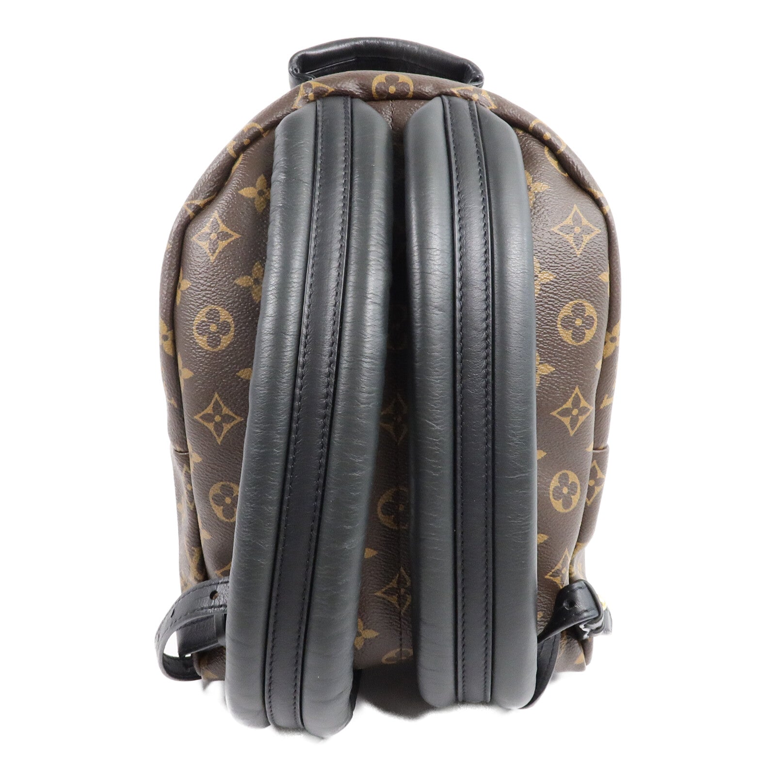 LOUIS VUITTON Monogram Palm Springs PM背包