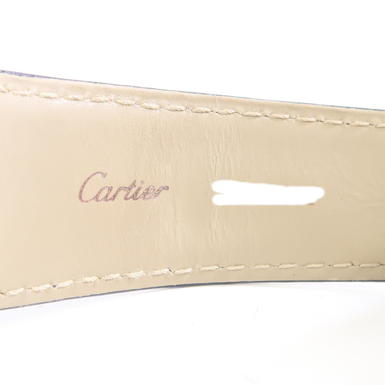CARTIER Tank Solo不鏽鋼/皮革帶手錶自動機芯銀色