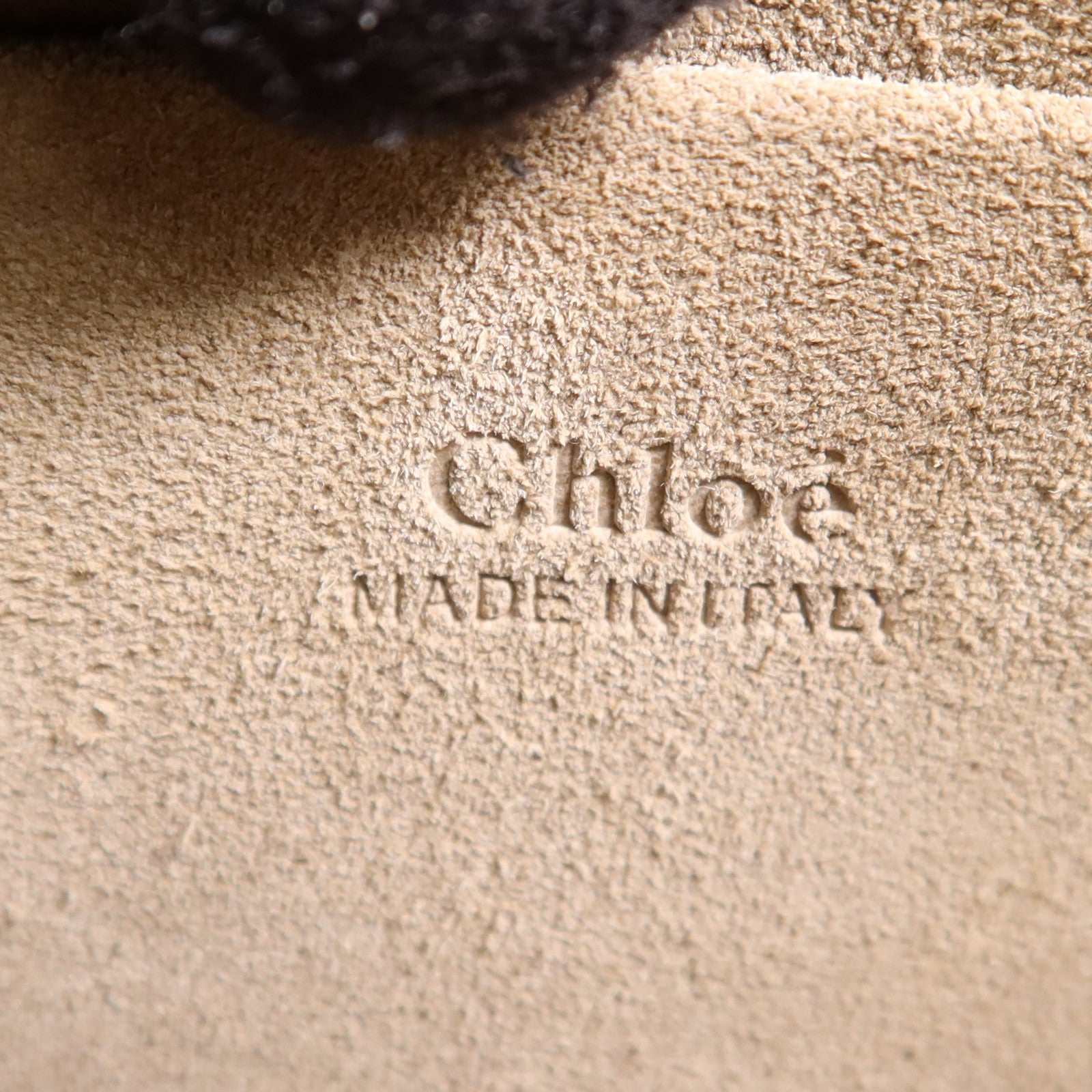 Chloe 蛇皮皮革2 Way Shoulder Bag銀扣手挽肩背兩用袋