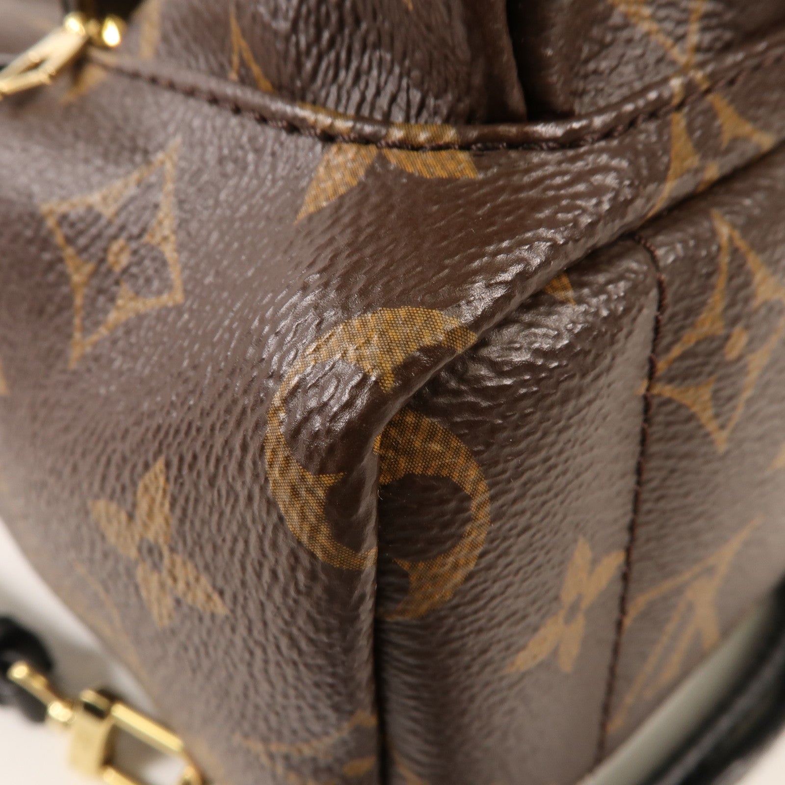 LOUIS VUITTON Monogram Palm Springs Mini金扣背包