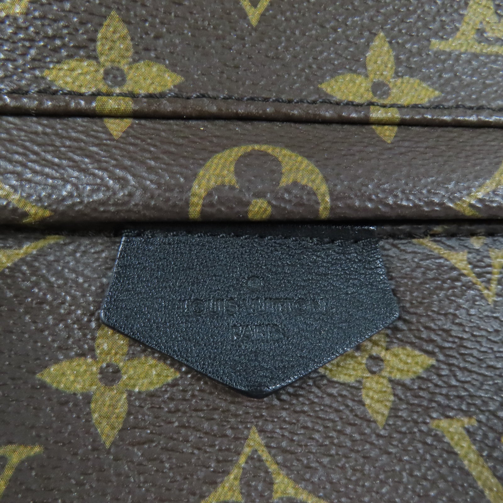 LOUIS VUITTON Monogram Palm Springs PM金扣背包