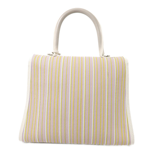 Delvaux Toile de Cuir Brillant MM手挽袋