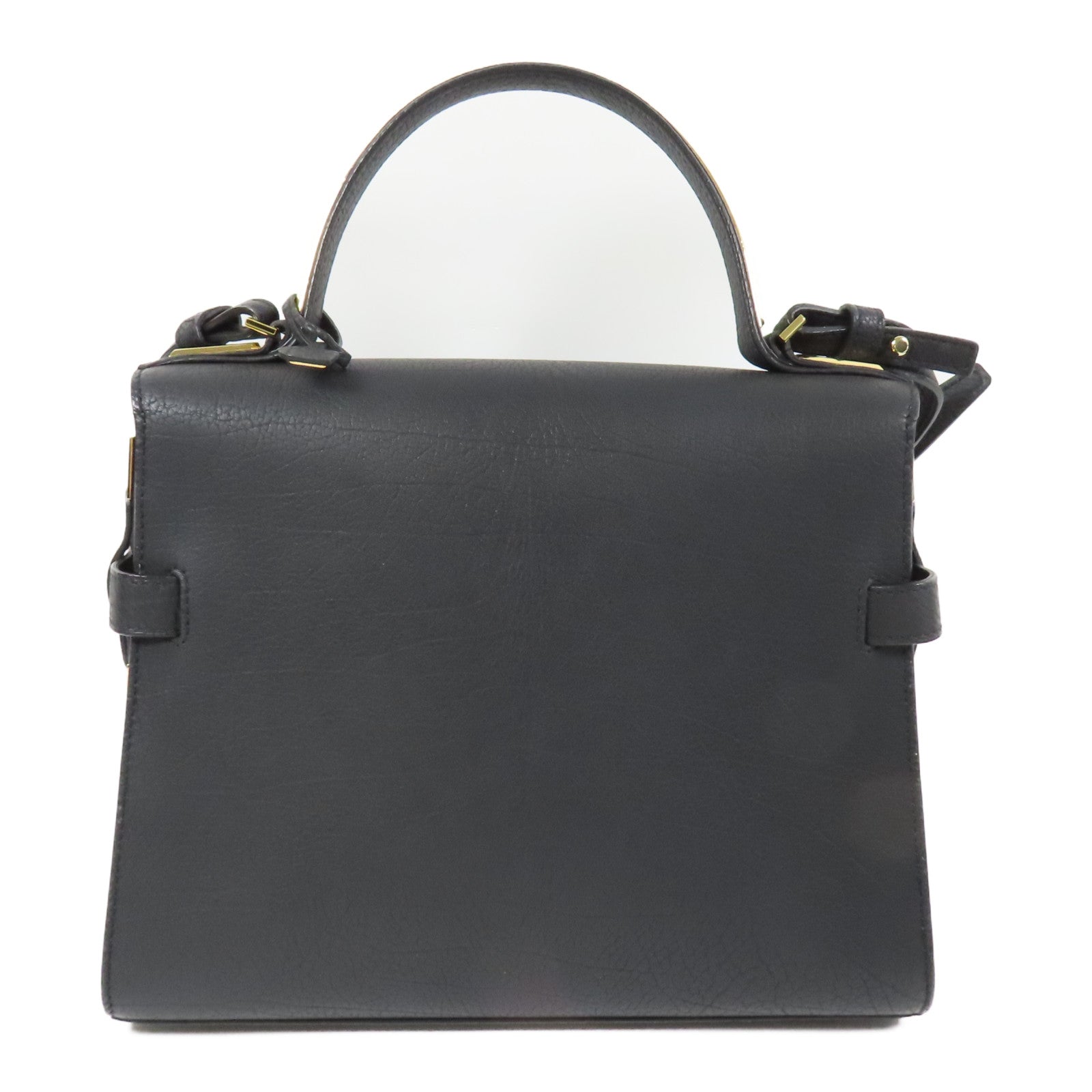 Delvaux 牛皮皮革Tempete MM金扣手挽肩背兩用袋