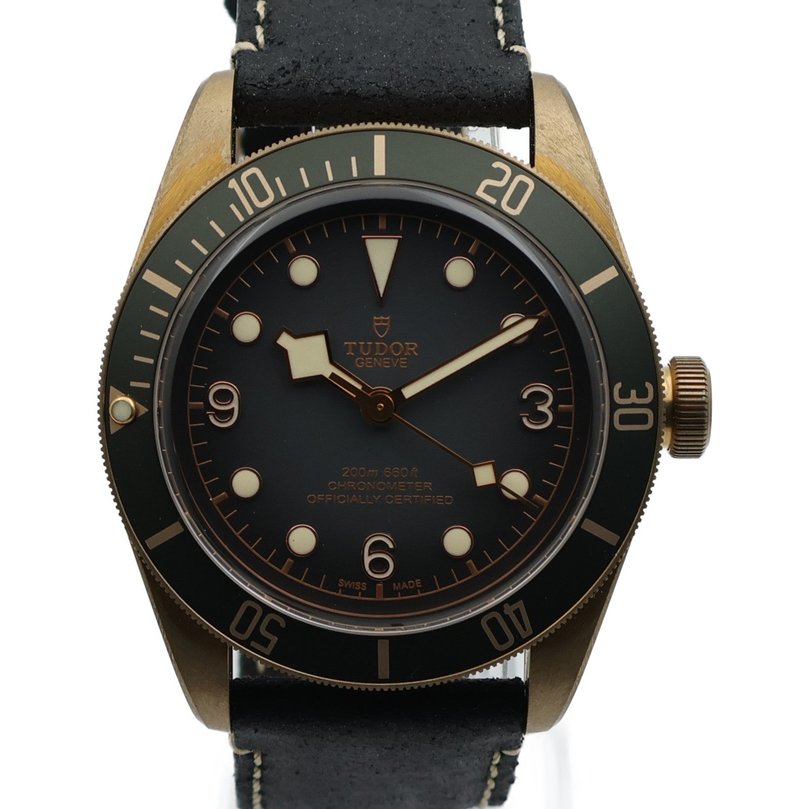 TUDOR Black Bay 79250BA