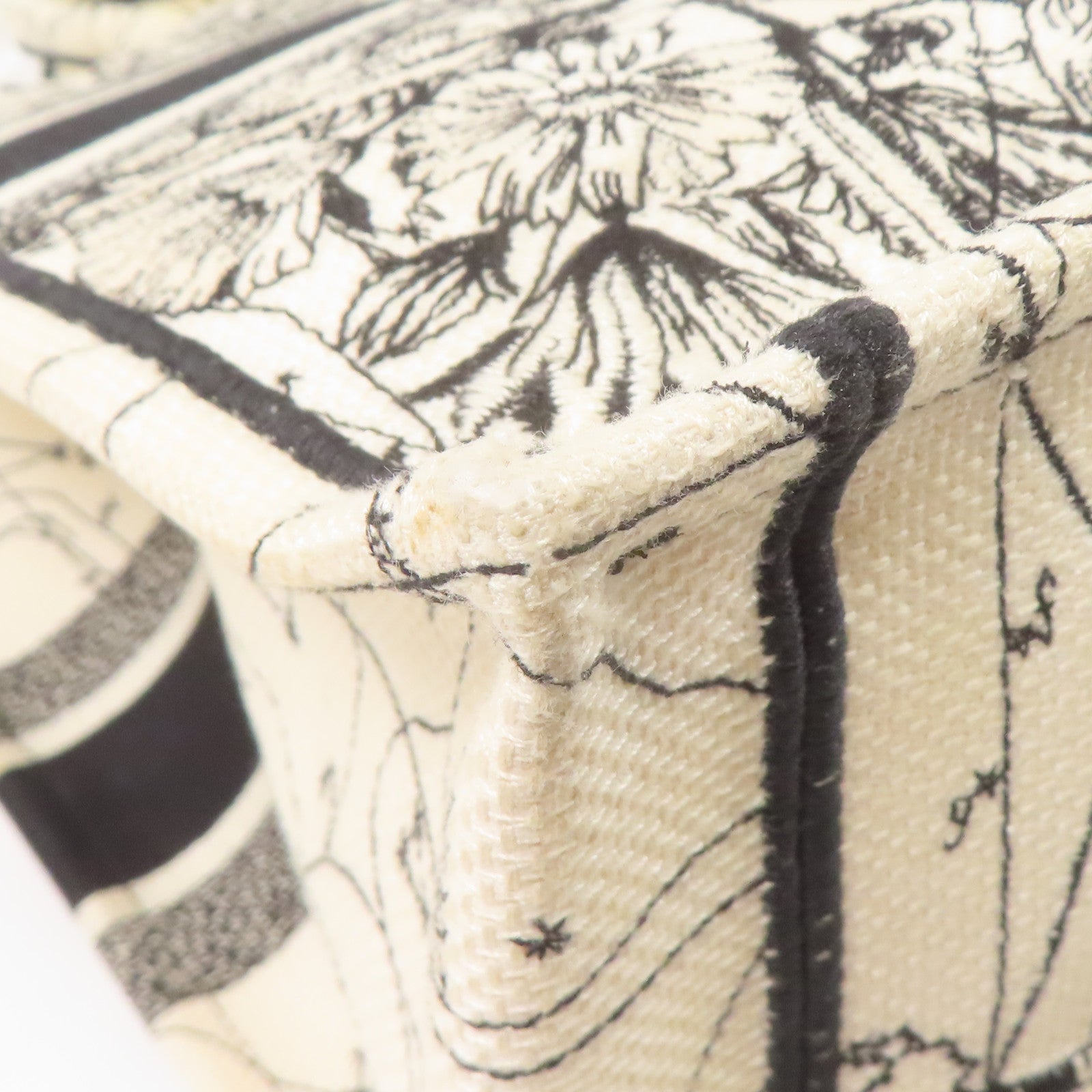 Dior 帆布Handbag手挽袋