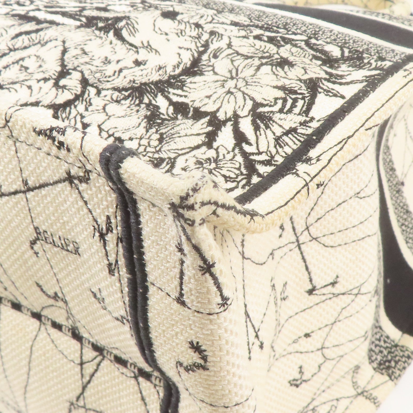 Dior 帆布Handbag手挽袋