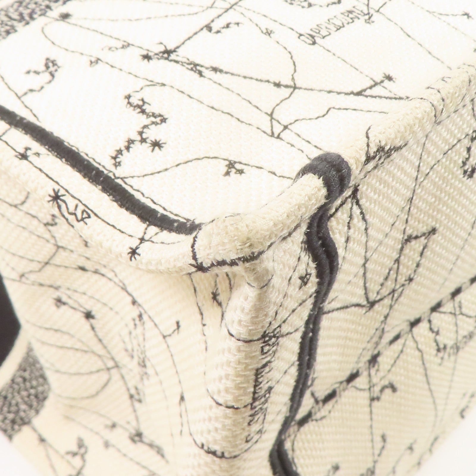 Dior 帆布Handbag手挽袋