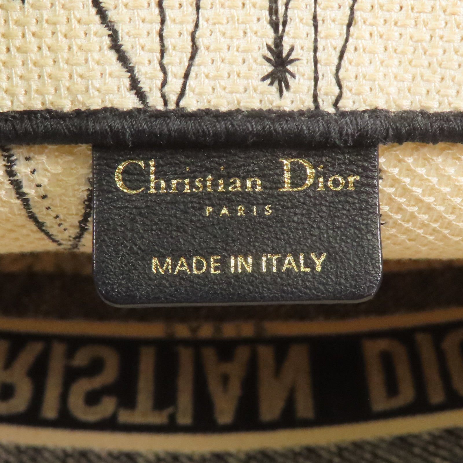 Dior 帆布Handbag手挽袋