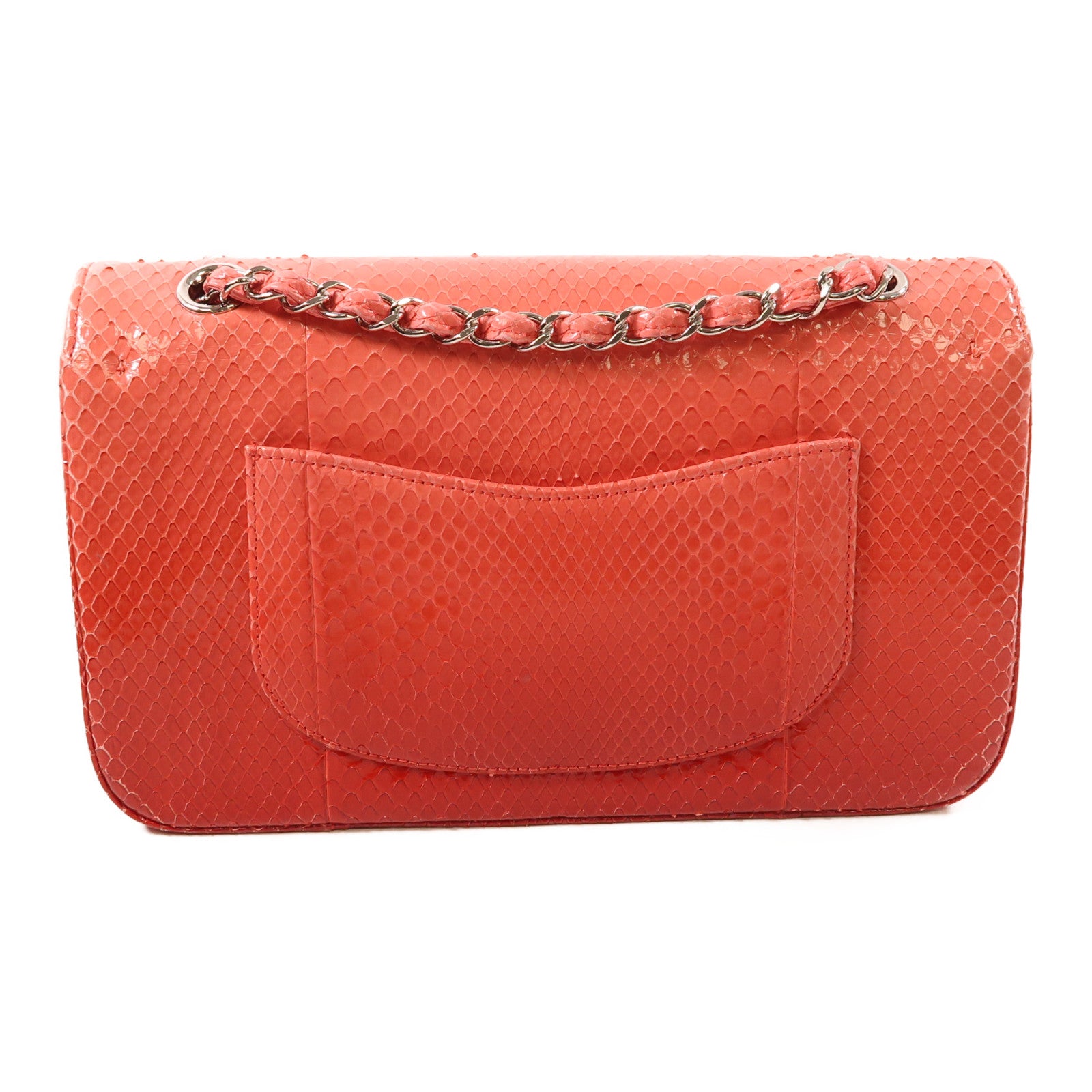 CHANEL 蛇皮皮革Classic 25銀扣鏈帶手挽肩背兩用袋