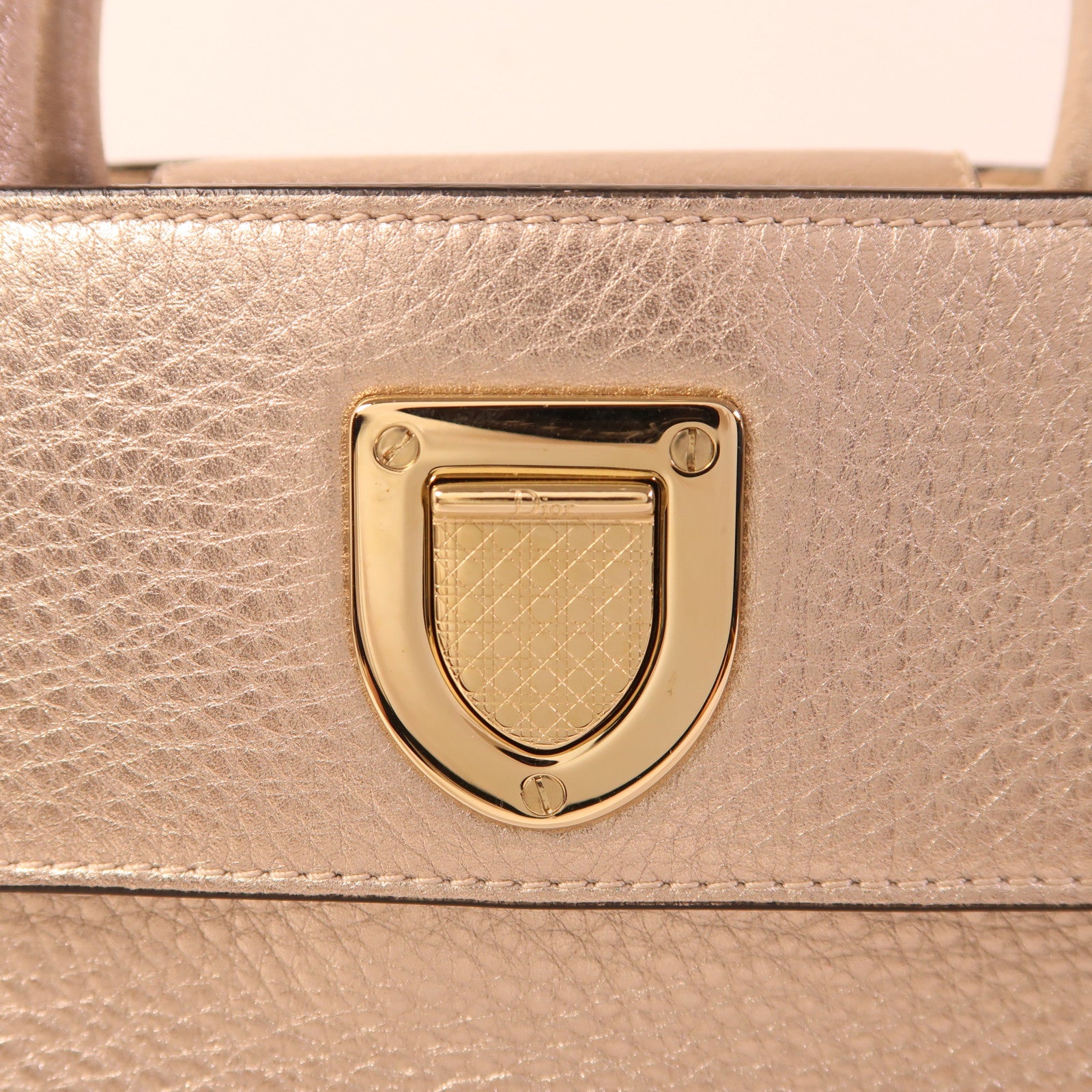 Dior 牛皮皮革Diorever Mini金扣手挽肩背兩用袋