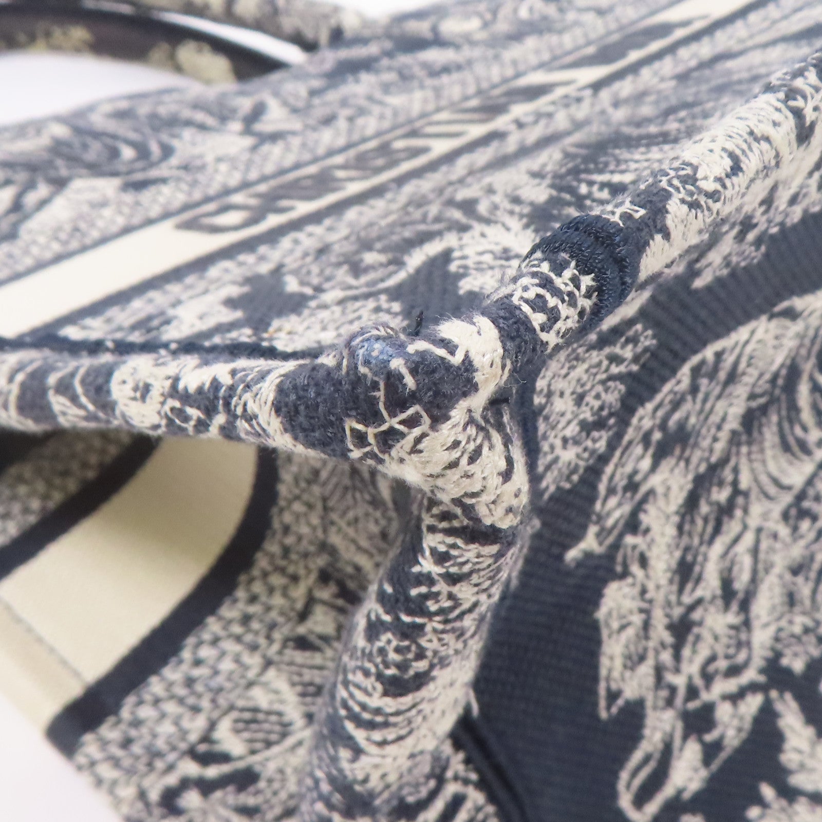 Dior 帆布Book Tote Small手挽袋