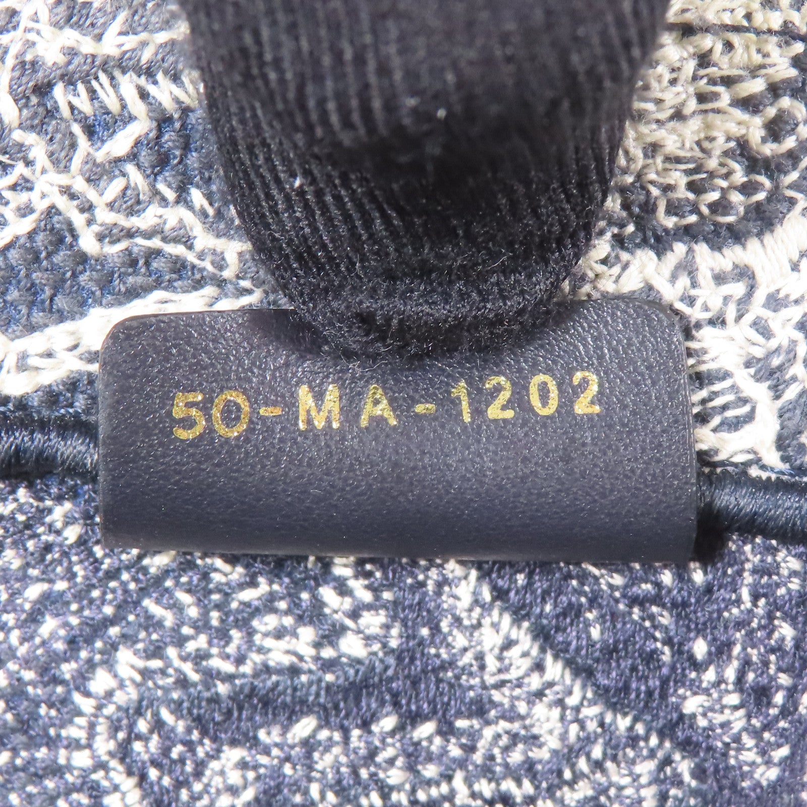 Dior 帆布Book Tote Small手挽袋